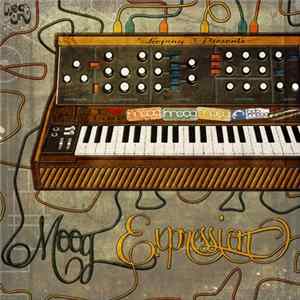 Looping - Moog Expression FLAC