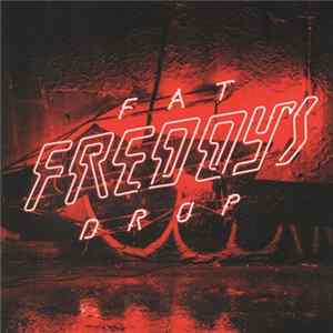 Fat Freddy's Drop - Bays FLAC