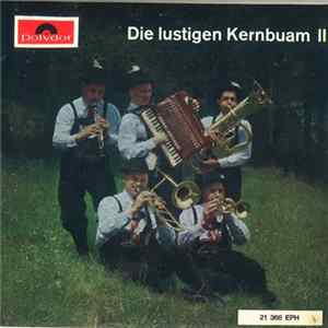 Die Kern Buam - Die Lustigen Kernbuam II FLAC