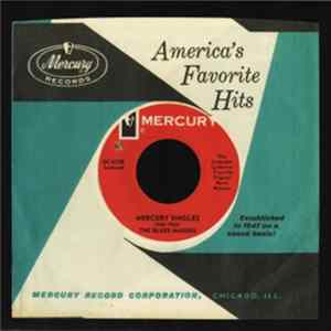 The Blues Magoos - The Mercury Singles (1966-1968) FLAC