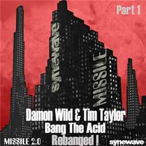 Damon Wild & Tim Taylor - Bang The Acid - Rebanged! FLAC