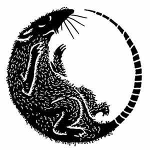 Rata Negra - Corasones FLAC