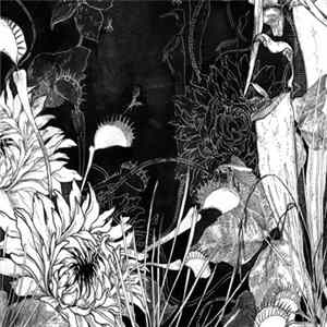 French Negative - Sublimate Or Die FLAC