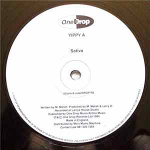 Yippy A - Sativa / Orange FLAC