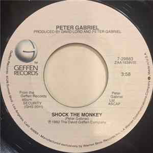 Peter Gabriel - Shock The Monkey FLAC