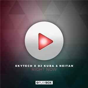 Skytech X DJ Kuba & Neitan - Right Now FLAC