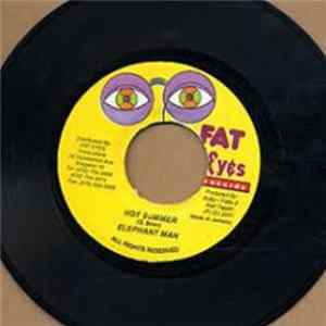 Elephant Man / Mr. Chicken - Hot Summer / Mi Can Tell U Dis FLAC