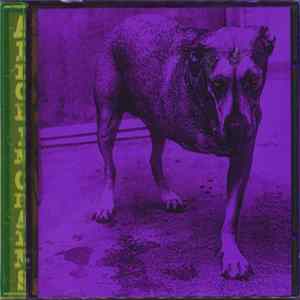 Alice In Chains - Alice In Chains FLAC