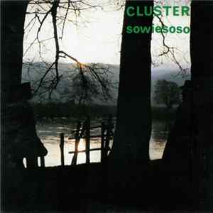 Cluster - Sowiesoso FLAC