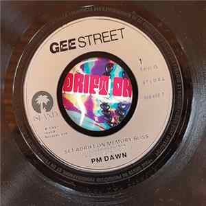 PM Dawn - Set Adrift On Memory Bliss FLAC