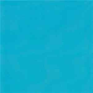 Celer - Another Blue Day FLAC