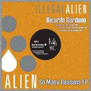 Ricardo Garduno - So Many Reasons EP FLAC