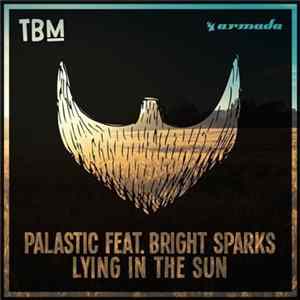 Palastic Feat. Bright Sparks - Lying In The Sun FLAC