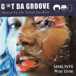 The Vinyl Junkies - Got Da Groove FLAC