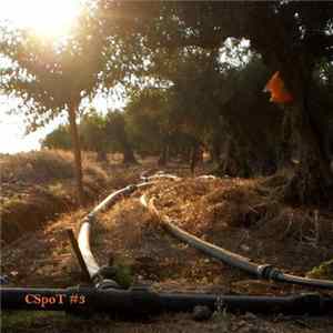 CST - Spot #3 FLAC