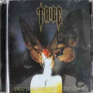 Tribe - Pray For Calm... Need The Chaos FLAC