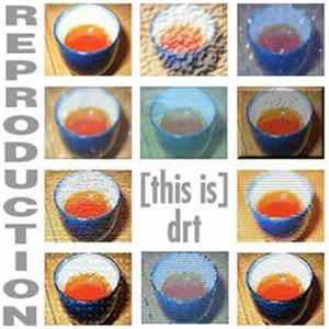 [this is] drt - Reproduction FLAC