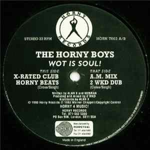 The Horny Boys - Wot Is Soul! FLAC