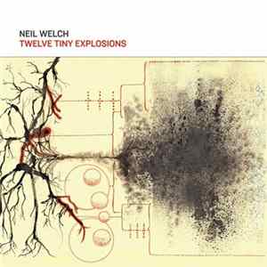 Neil Welch - 12 Tiny Explosions FLAC