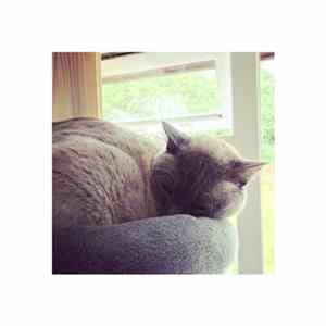 elizabeth Veldon - When You Wake There Will Be So Much Love (For Nicky) FLAC