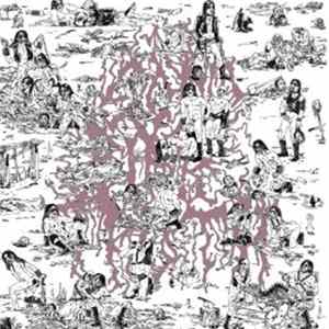 The Soft Pink Truth - Why Do The Heathen Rage FLAC