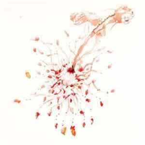 My Disco - Cancer FLAC