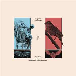 Ostraca, Flesh Born - Faces of the Moving Year FLAC