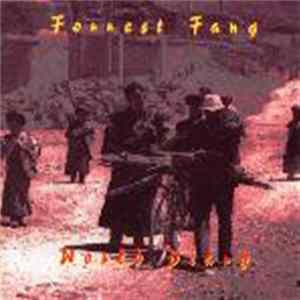 Forrest Fang - World Diary FLAC