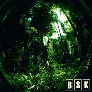 BSK - BSK FLAC