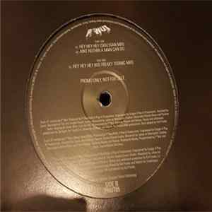 Pnut - Hey Hey Hey FLAC