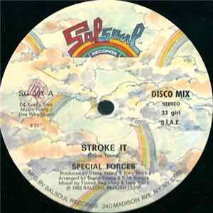 Special Forces - Stroke It FLAC