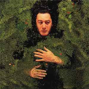 Alain Bashung - Fantaisie Militaire FLAC