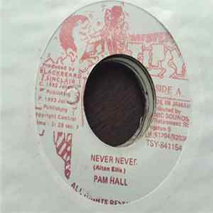Pam Hall - Never Never FLAC