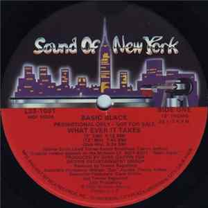 Basic Black - What Ever It Takes FLAC