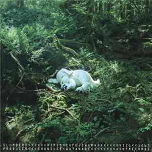 Hiroshi Fujiwara - Slumbers FLAC