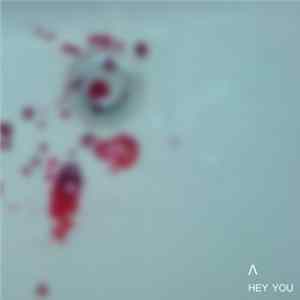 Ʌ - Hey You FLAC