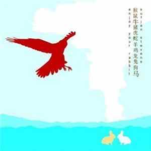 Sufjan Stevens - Enjoy Your Rabbit FLAC