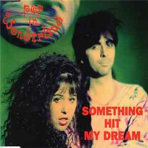 Pop in Wonderland - Something Hit My Dream FLAC