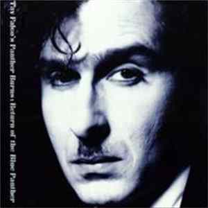 Tav Falco's Panther Burns - Return Of The Blue Panther FLAC
