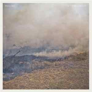 Brass Bed - In The Yellow Leaf FLAC