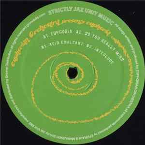 Euphorian Orchestra - Euphoria FLAC