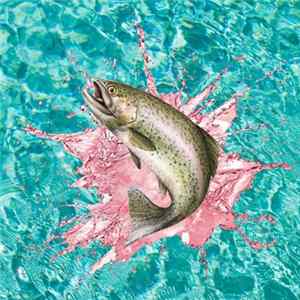 Abraxas - Bisexual Random Trout FLAC