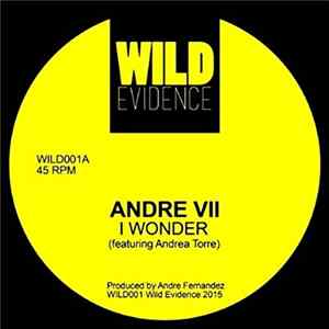 Andre VII - I Wonder FLAC