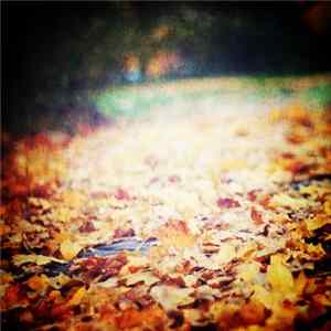 Igl00 - Variations (For Autumn) FLAC