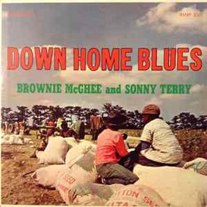 Brownie McGhee And Sonny Terry - Down Home Blues FLAC