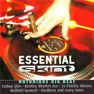 Various - Essential Skint FLAC