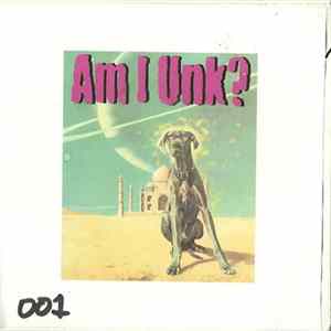Am I Unk? - A Post Industrial Experience FLAC