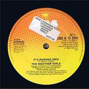 The Weather Girls - It's Raining Men FLAC