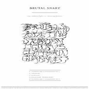 Brutal Snake - Tiny Stubborn Lights Vs. Clustering Darkness FLAC