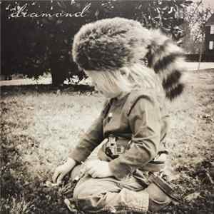 Brendan Benson - Diamond FLAC